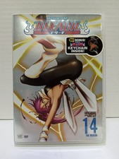 Bleach - Vol 14 (Episodes