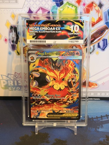Ace mega emboar - ace, 10
