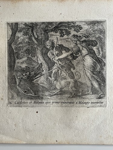 Antonio tempesta calidonius - antonio,