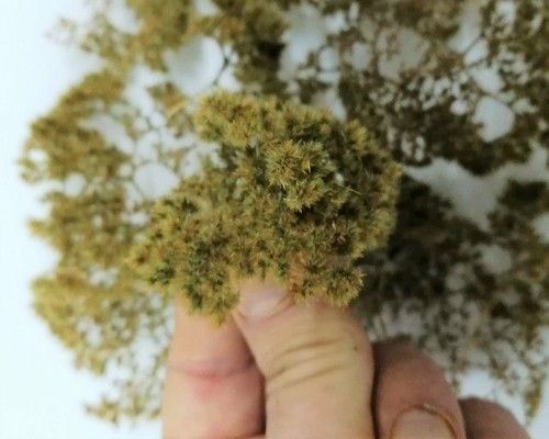 Accessori diorama vegetazione - accessori,