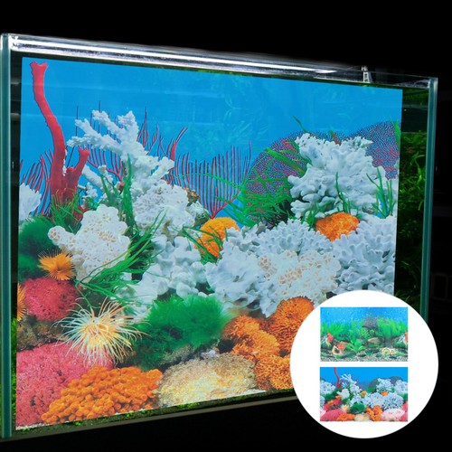 Aquarium decorative sfondo - ,