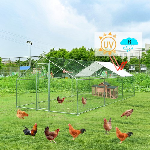 Chicken run 20x10ft - 20x10ft, in