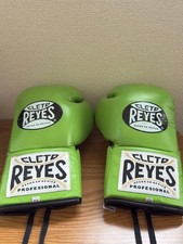 Guantoni da boxe da