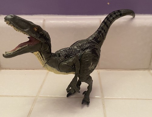 Velociraptor dinosaur jurassic - velociraptor,