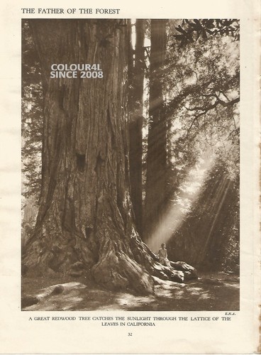 America california grande - california,