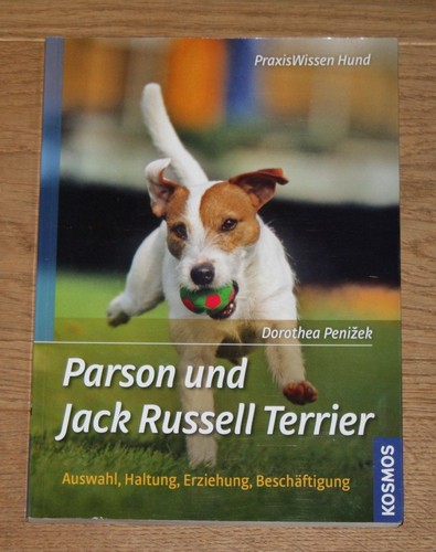 Parson jack russell - &, jack-russell-terrier