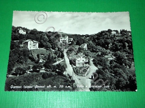 Cartolina gignese sopra - cartolina, (