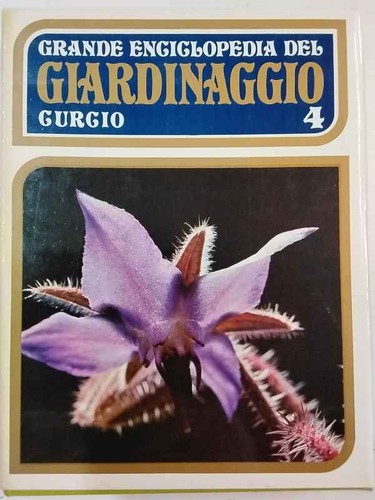 Grande enciclopedia del