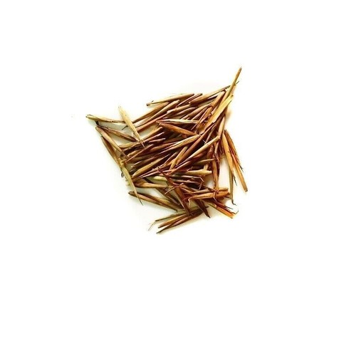 Semi freschi di - freschi,