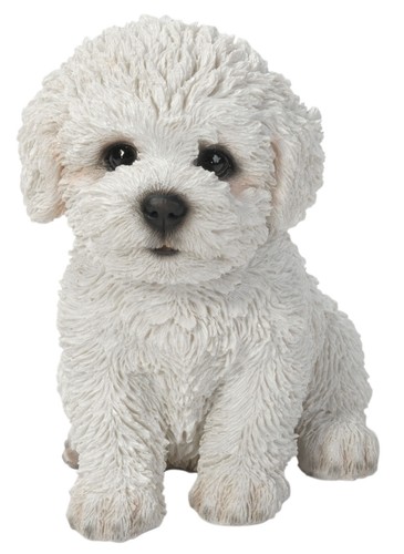 Vivid arts pet - vivid, bichon