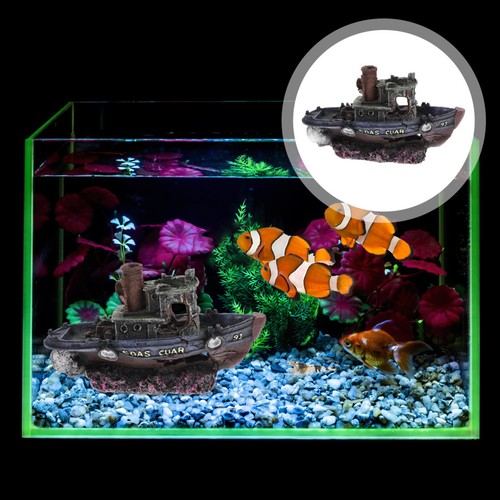 Acquario accessori arredo - acquario,