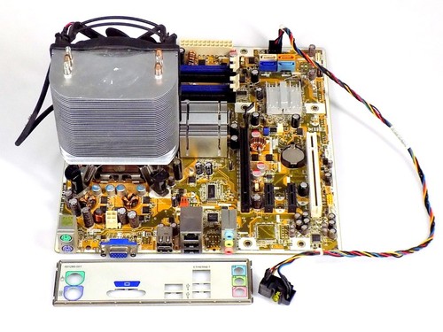 Asus ipibl intel pentium - asus, ipibl-lb