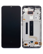 OLED Assembly With Frame For
