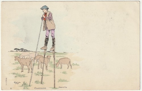 Illustratore morin - illustratore,