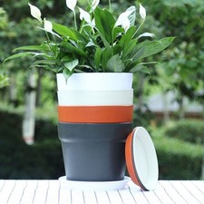 Innovativo Contenitore per