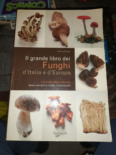 Libro grande dei - libro-il,