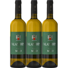 VINO MOIO FALANCHINA 3