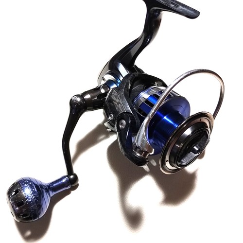 Daiwa saltiga 4000 - saltiga,