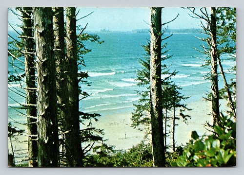 Vintage long beach pacific rim - vintage,