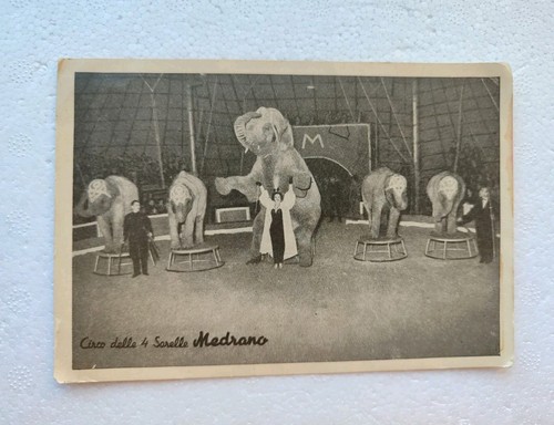 Cartolina postale circo delle - circo,