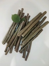 1 kg di nocciola, non