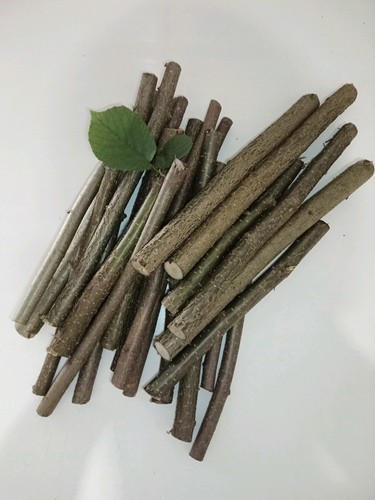 Nocciola non - kg, di