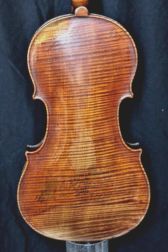 Violino bez maucotel - bez., À