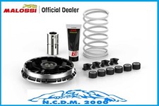 VARIATORE MALOSSI MULTIVAR