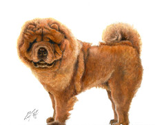 ✤ Dipinto ORIGINALE Ritratto