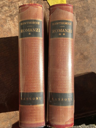 Hawthorne romanzi volumi - 2,