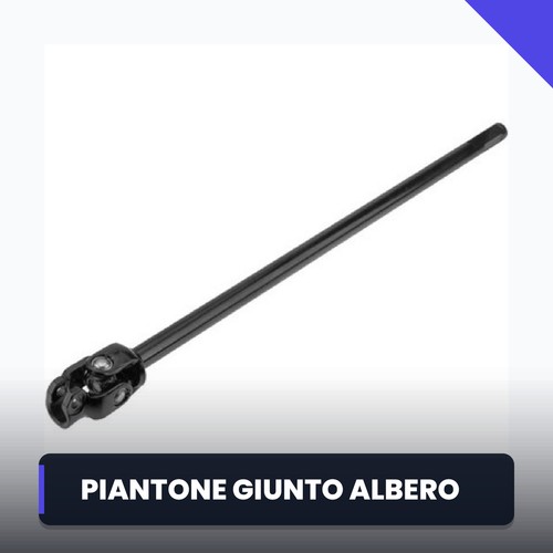 Albero sterzo per piantone