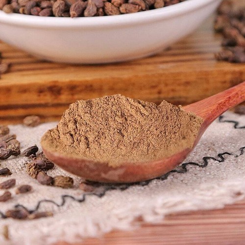 500g ligustrum lucidum frutta - ligustrum,