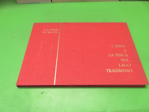 Pesci pesca nel lago - la,
