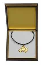 Weimaraner, Weimaraner Setter