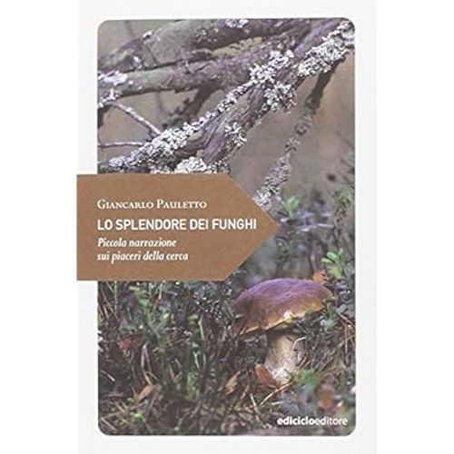 Splendore dei funghi - splendore,