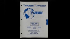 Evinrude Johnson 250 300
