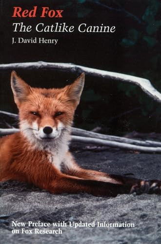 Red fox the - fox:, canine