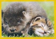 Panini National Geographic -