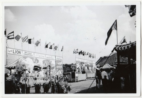 Foto striscione vintage circo - striscione,