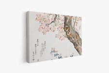 FIORI DI CILIEGIO Giappone