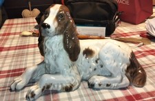 Ugo  Zaccagnini grossa