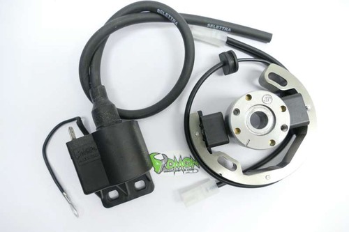 Selettra ignition for ktm - for, sx