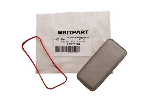 Filtro guarnizione radiatore