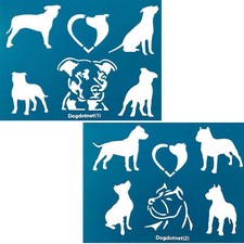 American Pitbull Terrier