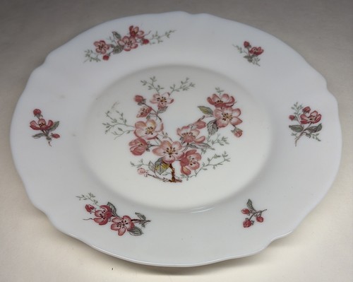 Lot29 grandi piatti piani - 5,