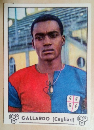 Panini 1964 1965 gallardo - panini,