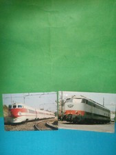 CARTOLINE E 444 TARTARUGA -