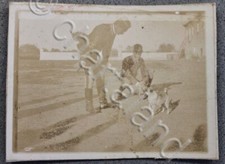 Fotografia d'epoca aristotipo militaria militari in uniforme con cani 1890 ca 