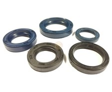 Kit paraoli motore mozzo