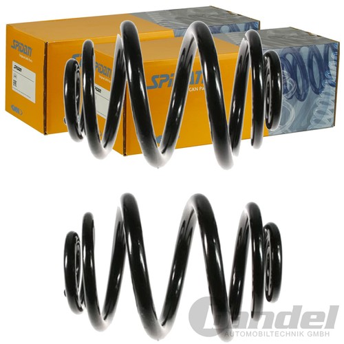 Spidan molle della - 2x,